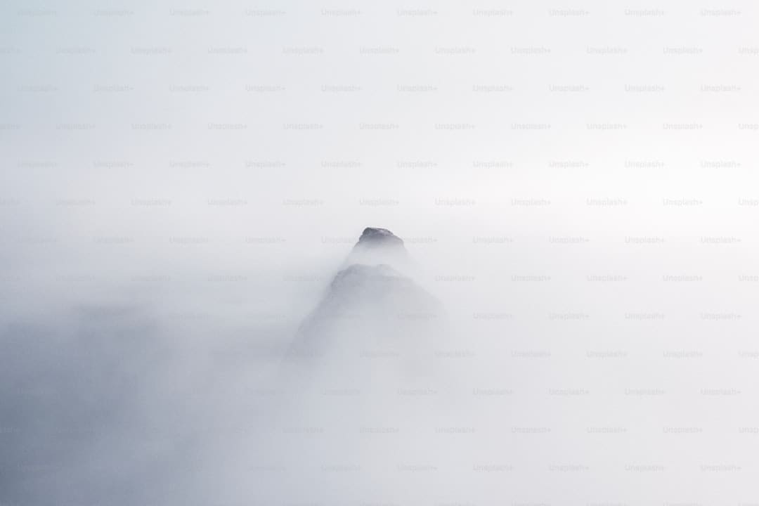 青平：暑期针对未成年人网络欺诈高发，怎么筑牢防护堤堰